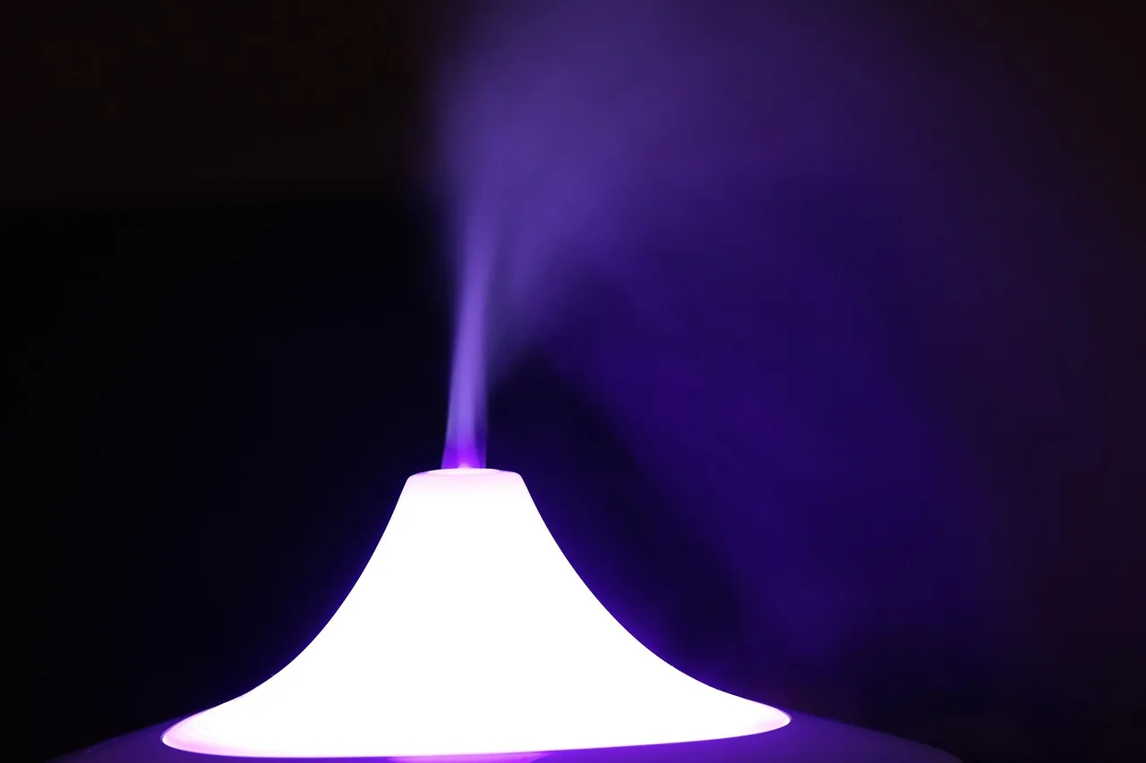 Household Air Pollution: Triggering Inflammation and Chronic Diseases